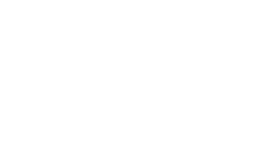 light logo