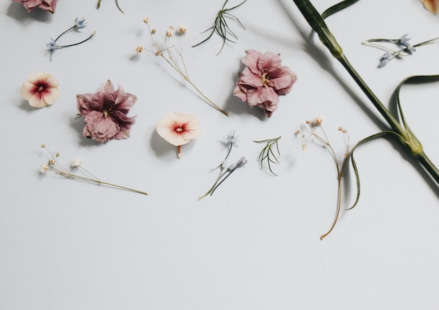 Comprendre le langage des fragrances de bougies - Un guide pour explorer les subtilités des parfums