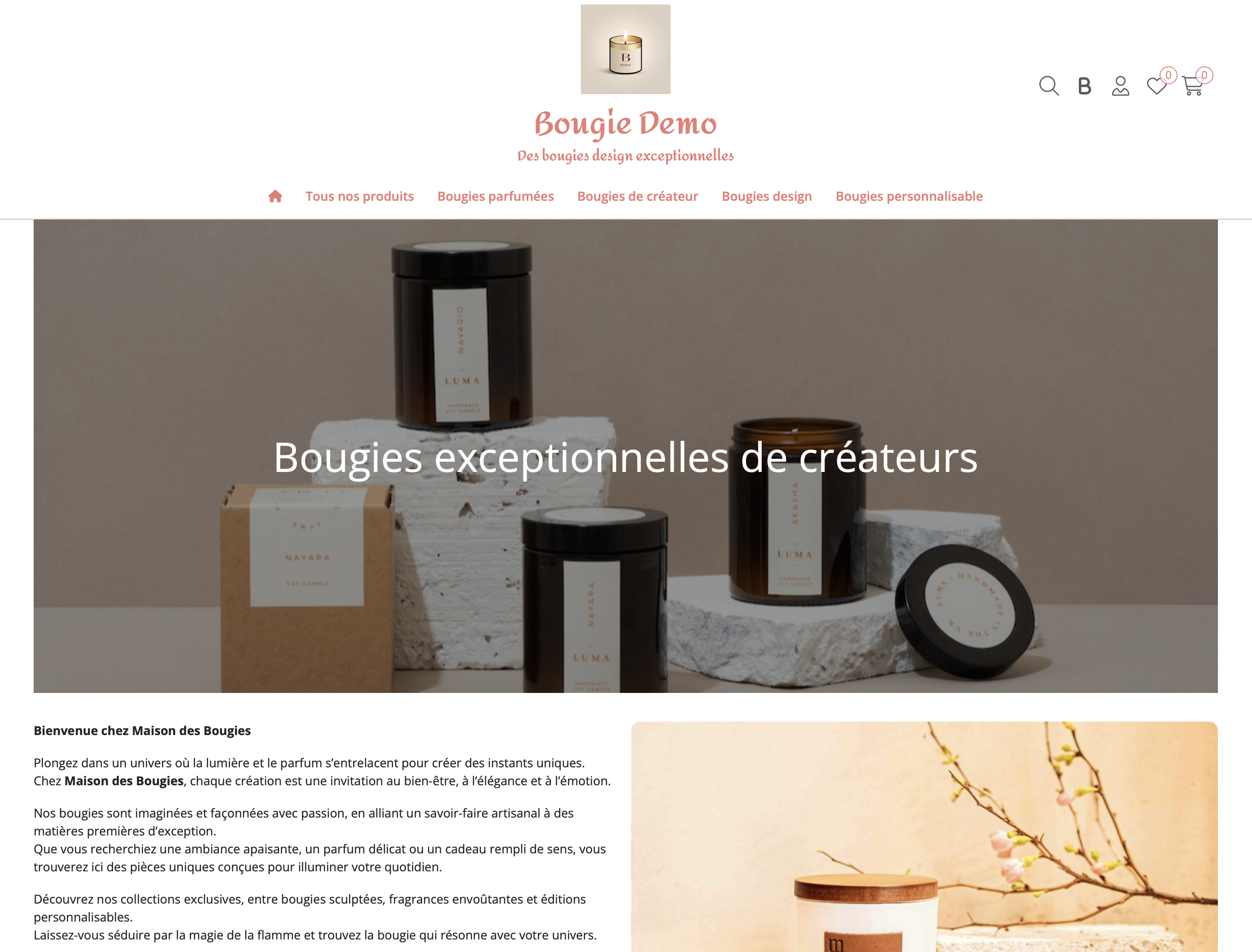 Succès des créatrices
